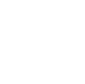 DONGFENG